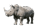 demo-attachment-757-rhinoceros-PX4THQT